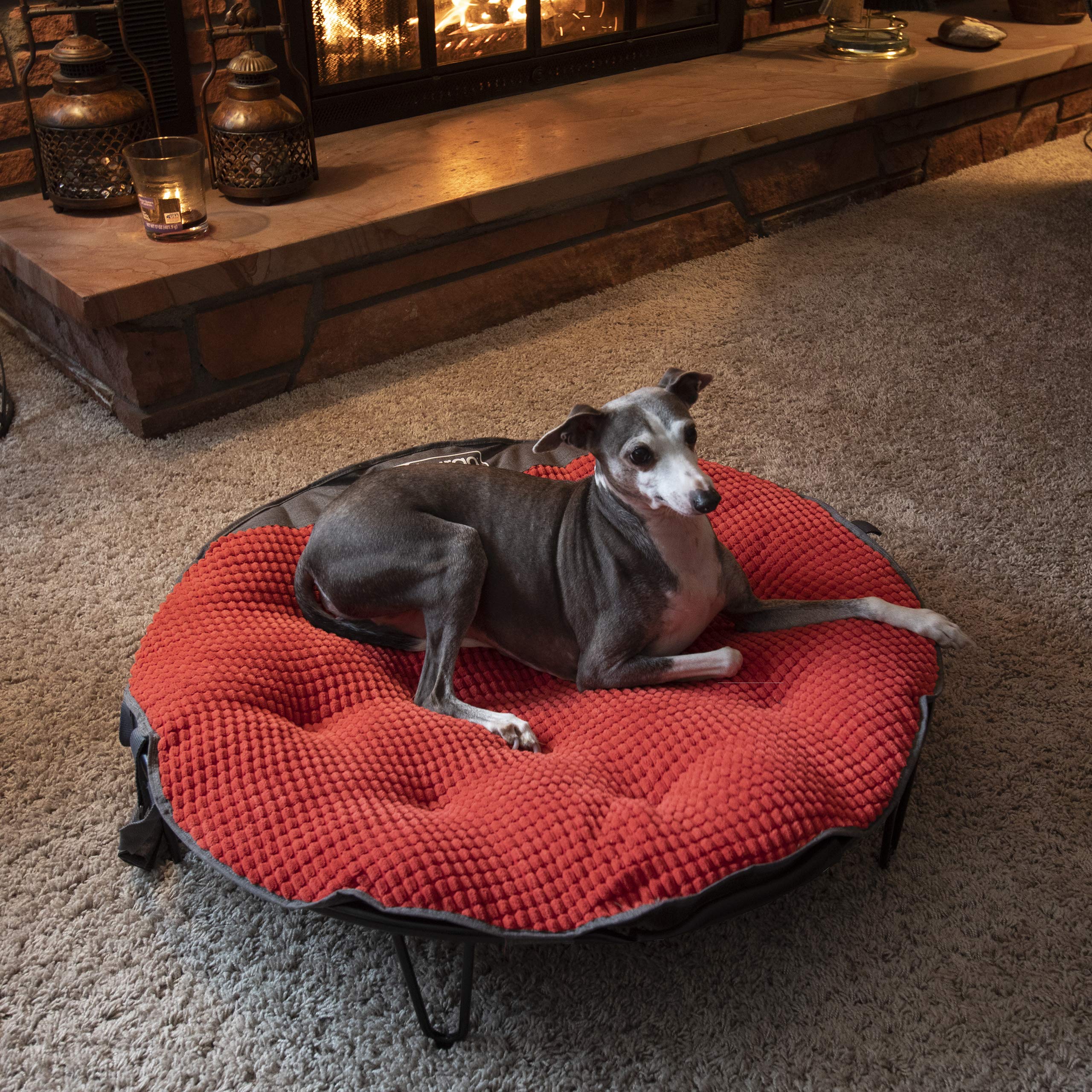 Kurgo Elevated Dog Bed, Indoor & Outdoor Travel Bed for Dogs, Portable Pet  Cot for Camping Or Weekend Trip, Dog Travel Accessories, Collapsible,  Lightweight, Includes Carrying Case, TAGO Bed, Red : Amazon.ca: