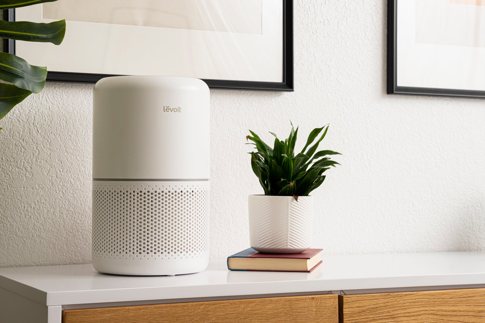 Levoit VeSync Core 300S Smart Air Purifier review: A pint-sized value |  TechHive