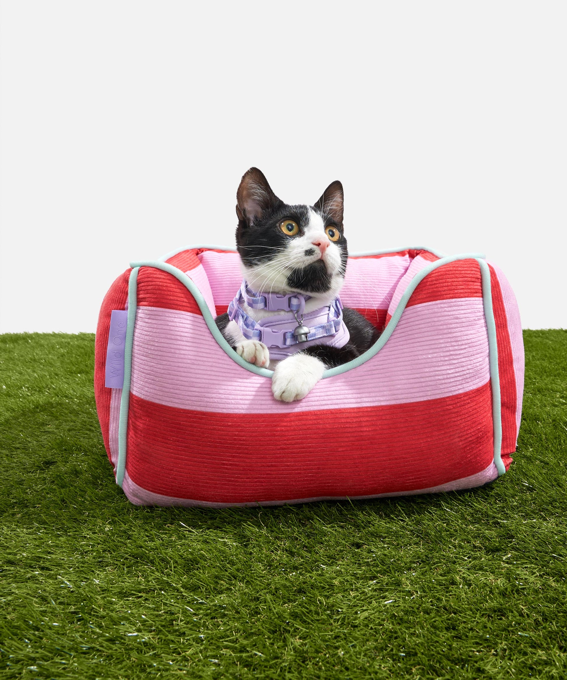 Wild One Machine Washable Bolster Cat Bed, Bubblegum Pink