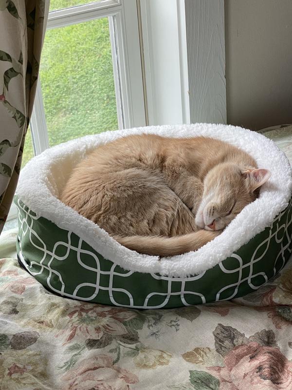 MIDWEST QuietTime Defender Orthopedic Bolster Cat & Dog Bed with Removable  Cover, Brown, 36-in - Chewy.com