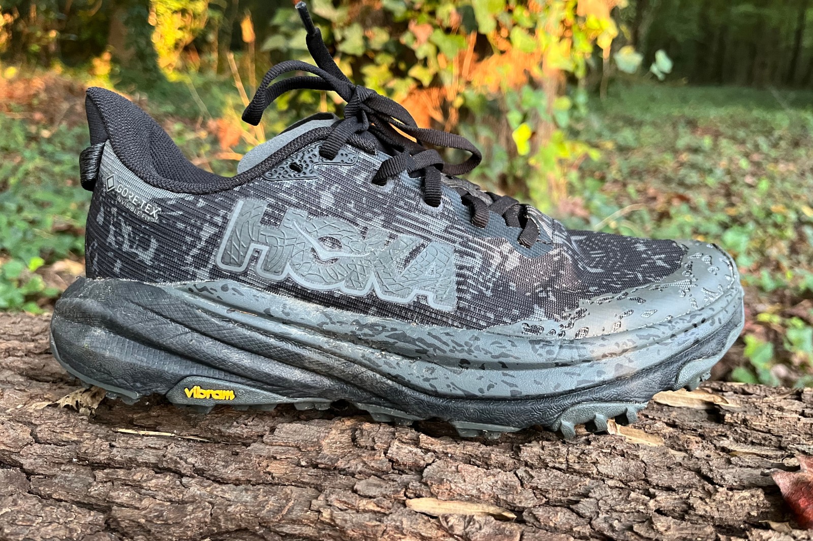Hoka Speedgoat 6 GTX Review: Climbin' Up Splash Mountain - Believe in the  Run