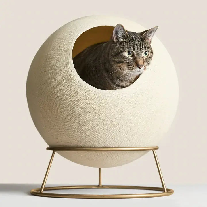 Stellar Modern Cat Bed
